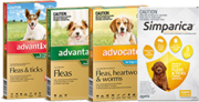 Buy Dog Supplies,  Dog Foods and Accessories at Low Prices