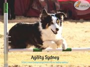 Agility Sydney