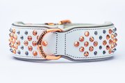 Buy premium leather dog collars - Rogue Royalty